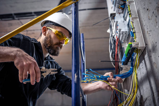 Best Ceiling Fan Installation Electrician  in Csar Chvez, TX