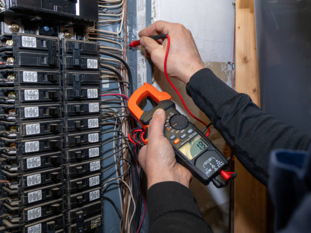 Best Electric Panel Repair  in Csar Chvez, TX